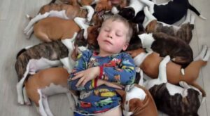 [Vídeo] Así es el divertido día a día de esta familia con dos niños pequeños y 16 cachorritos