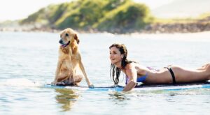 Alergias de verano: ¿estás a salvo?