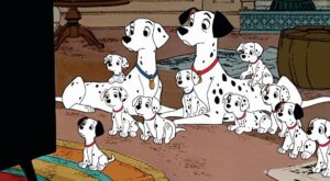 10 razones por las que tener perro te hará más feliz