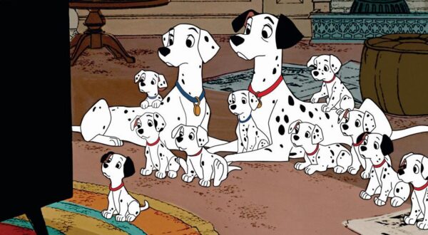 10 razones por las que tener perro te hará más feliz