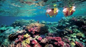 La guía definitiva para disfrutar de tu viaje de novios a Australia