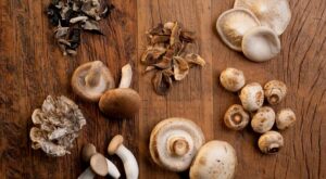 Las setas, el último ingrediente fetiche de la cosmética