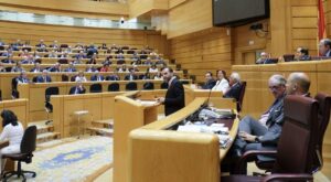 El Senado aprueba la reforma definitiva de la ley del aborto