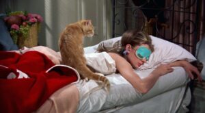 10 situaciones que demuestran que eres una perezosa empedernida