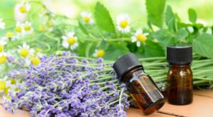 Aceites esenciales: todo lo que tienes que saber