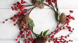 Plantas de Navidad: descubre sus curiosidades y cuidados