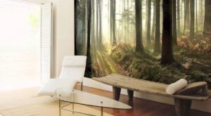 Test: ¿qué dice tu decoración de ti?