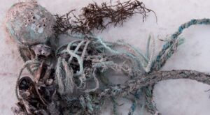 A través de la fotografía de Adriana Pizcueta