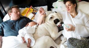 18 imágenes divertidas que demuestran que ser padres no siempre es fácil