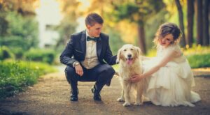 ¿Dejarías que tu perro grabara el vídeo de tu boda?