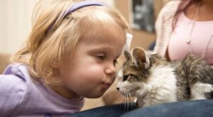 ¡Todo un ejemplo! La niña con el brazo amputado que adopta un gatito sin pata