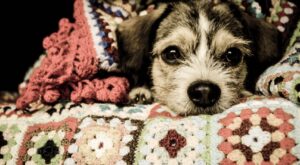 ¡Cozy, cozy! 20 accesorios «gustosos» para crear un ambiente acogedor