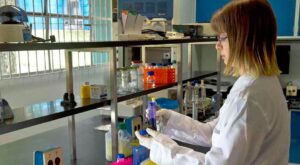 El virus zika, la enfermedad que causa pavor entre las mujeres embarazadas