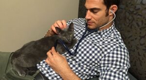 Conoce a Evan, el veterinario macizo que sacará tu instinto animal