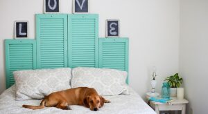 20 ideas muy originales para reciclar los marcos de las ventanas