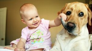 25 imágenes que prueban que niños y mascotas están hechos los unos para los otros