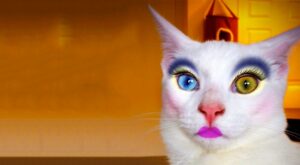 Así es la última moda que arrasa en Japón: gatos maquillados