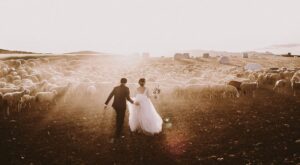 Fotógrafos de boda: tu historia de amor a golpe clic