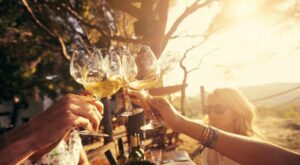 Estos son nuestros vinos favoritos y te contamos por qué