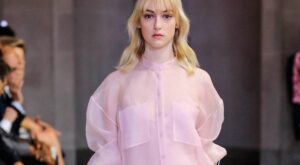 Todo el mundo viste de organza: manual de uso