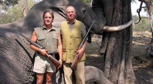 2012: ¡Todo un año en imágenes!