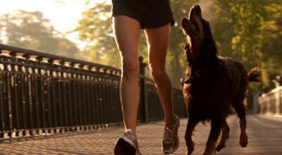 ¡Ellos te echan una pata! 8 increíbles beneficios de tener mascota