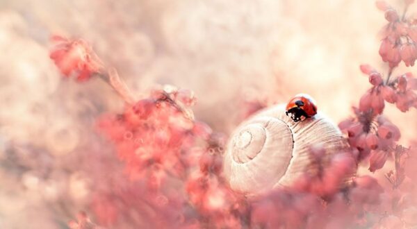 Esta fotógrafa crea universos de fantasía en donde nos gustaría vivir