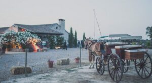 ¿Te gustaría casarte en el campo?