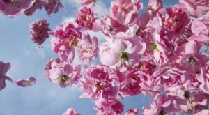 Louis Vuitton sacará a la luz el mejor perfume del mundo