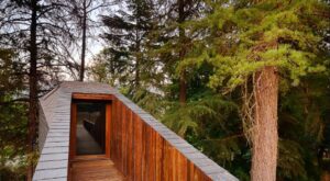 Noche de ensueño en una casa árbol