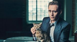 Hombres sexys y gatos, la combinación más irresistible