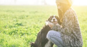 ​30 imágenes de perros ya adultos siendo adoptados que encogerán tu corazón