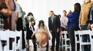 El emocionante instante en que una mujer en silla de ruedas sorprende a su marido caminando el día de su boda