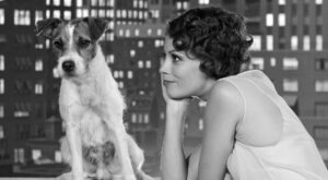 ¿Sueñas con animales? ¡Te contamos cuál es su significado según sea su especie!