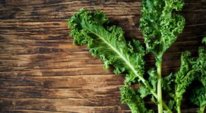 El kale o col rizada: descubre el alimento más sano para este otoño