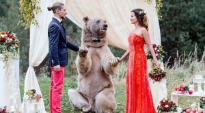 ¡Inexplicable! Un oso es testigo de una boda