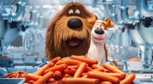 7 cosas que solo entenderás si eres una amante de los perros