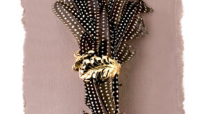 Anillos, aves del paraíso