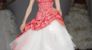 Jordi Dalmau, una inyección de energía