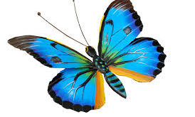 Protegido: 430 cc EUROSILICONE Anatómicas