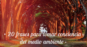¡Día Mundial del Medio Ambiente! Frases inspiradoras para cuidar el planeta