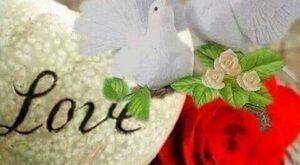 el amor que todo lo puede