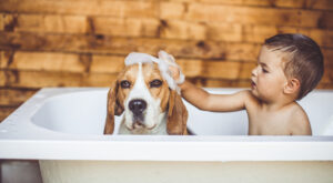 ¡Al agua patos! Convierte su baño en una rutina divertida