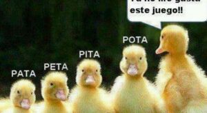 Protegido: Codependensia47