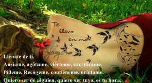TE LLEVO EN MI