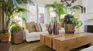 ¡Oda a las plantas! Macetas de diseño para el hogar