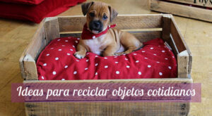 La magia del DIY: ideas para reciclar objetos cotidianos