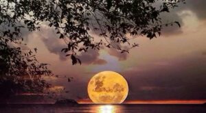 Protegido: Bellezas de la creacion