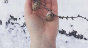 ¡Que el ritmo no pare! Tatuajes para amantes de la música