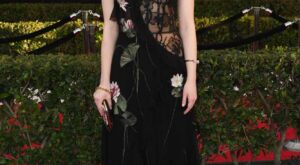 SAG Awards 2017: lo más llamativo de la alfombra roja